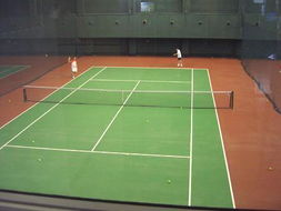 塑膠跑道 02,塑膠跑道,人造草坪生產供應商 人造草坪