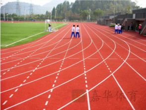 廣東做塑膠跑道廠家的哪個比較好