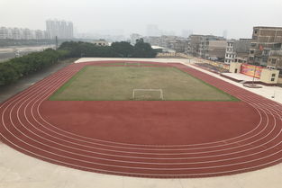 塑膠跑道原材料供貨商的關鍵角色與市場趨勢