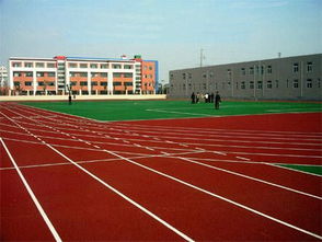 河北地區室內塑膠跑道價格解析與選購指南