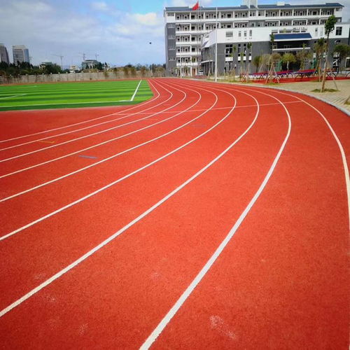 預制型塑膠跑道全解析 肇慶材料與鋁合金道牙價格指南