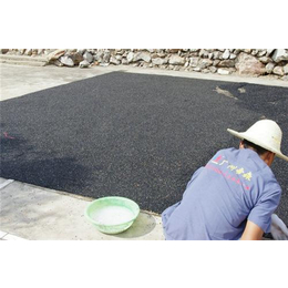 鞍山塑膠跑道施工方案 陶氏材料與廣州帝森的專業應用（多圖解析）